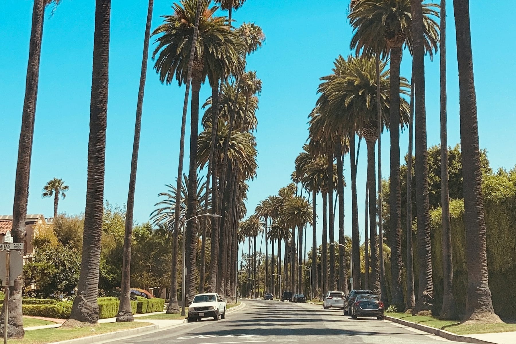 A Beverly Hills street lined with tall palm trees