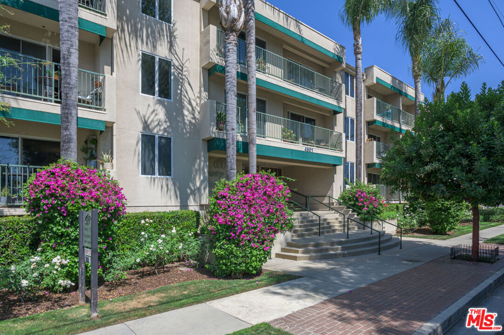 Condo building with bougainvillea in Sherman Oaks